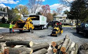 Best Commercial Tree Services  in Tallahassee, FL
